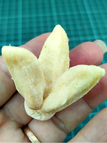 Вайнер силиконовый серединка Пиона 6х6см