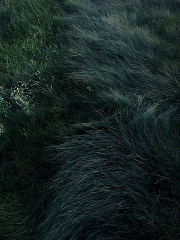 Последний август II