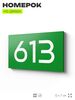 Номер на дверь 613, табличка на дверь для офиса, квартиры, кабинета, аудитории, склада, зеленая 120х70 мм, Айдентика Технолоджи