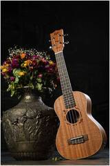 Укулеле концерт FLIGHT DUC323 MAH