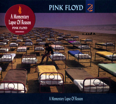 Pink Floyd / A Momentary Lapse Of Reason (CD)