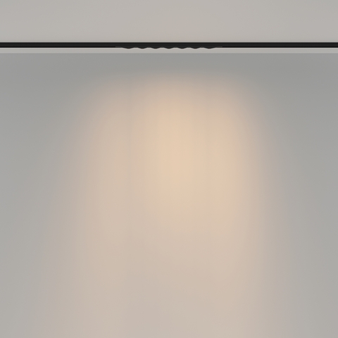 Магнитный трековый светильник Maytoni Spiky TR175-1-12WTW-M-B