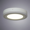 Светильник точечный Arte Lamp Antares A7816PL-2WH
