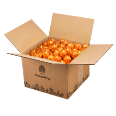 Кедровый грильяж с облепихой в шоколадной глазури / гофрокороб / 1000 г / Сибирский кедр