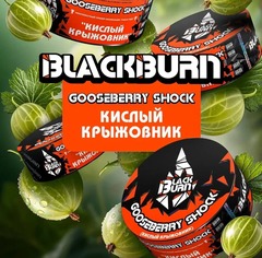 BlackBurn 100гр. Gooseberry Shock (Кислый крыжовник) (М)
