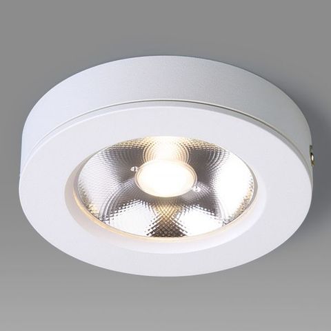 Накладной потолочный светодиодный светильник Elektrostandard DLS030 10W 4200K белый