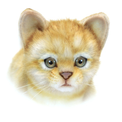 Hansa Мягкая игрушка 