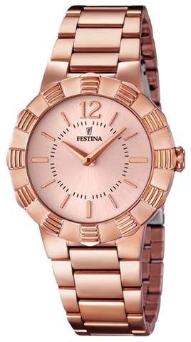 Наручные часы Festina F16733/1 фото