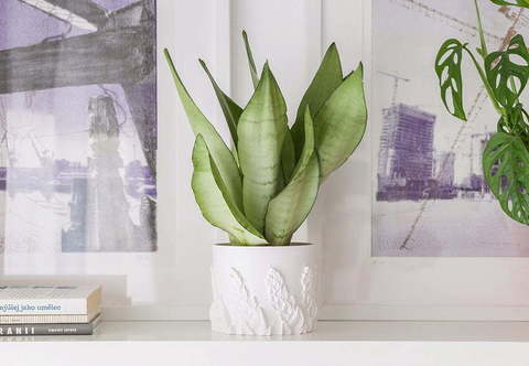 Пластик для 3D-принтера Fillamentum ASA Extrafill Snow White