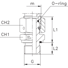 Штуцер FNE DL22 BSP1" CAST
