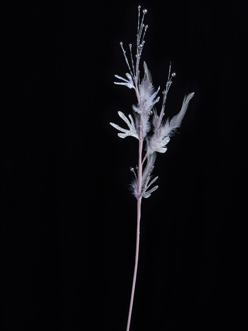 Веточка с бусинами 79см ChristmasDeLuxe белая с серебром