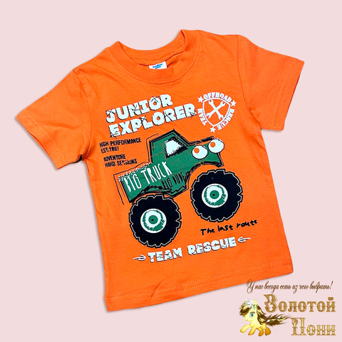 Футболка хлопок м (2-4) 260420-Y825