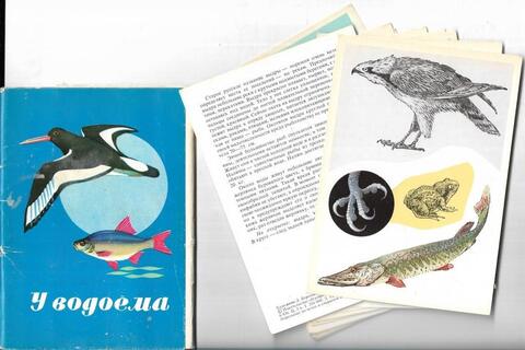 У водоема. Вып. 2. Комплект открыток