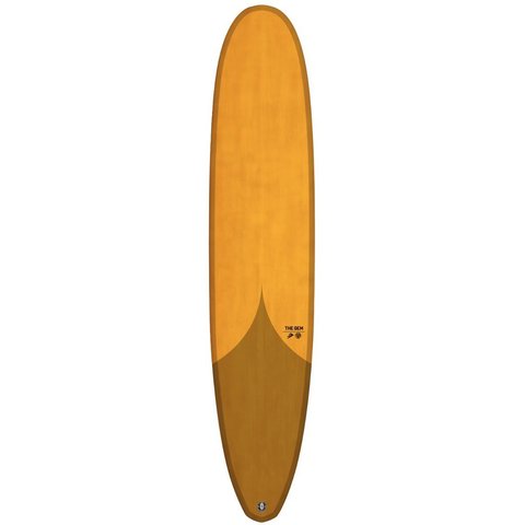 FIREWIRE THUNDERBOLT The GEM 9'1