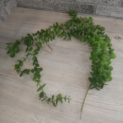 Зелень Лиана Эвкалипт 5 веточек 60/90см