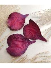 Молды пластиковые С-17 