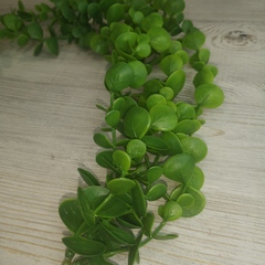 Зелень Лиана Эвкалипт 5 веточек 60/90см