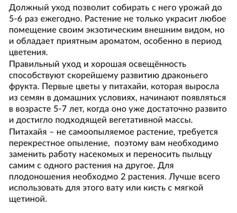 Гилоцереус Драгон Фрут d12