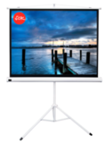 Экран для проектора S'OK SCPST-240x180 118'' 4:3 напольный, на треноге, матовый, белый