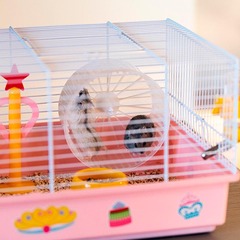Ferplast клетка CRICETI 9 PRINCESS для хомяков