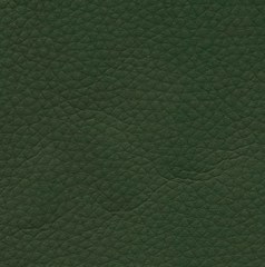 Искусственная кожа Alba dollaro 504 (Альба долларо 504)