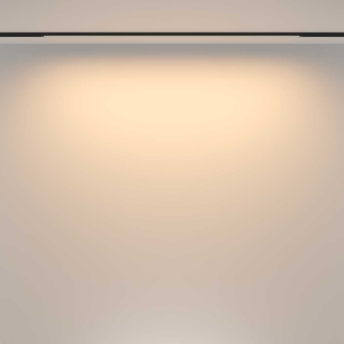 Трековый светильник Maytoni Technical TR173-1-24WTW-B