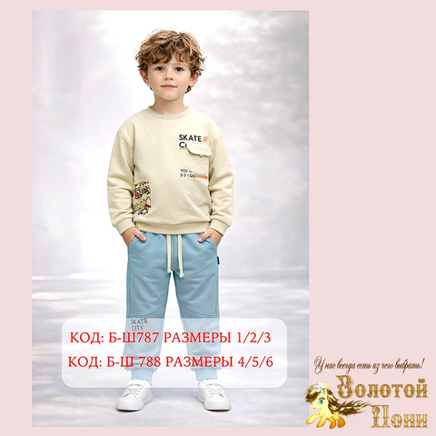 Костюм мальчику (1-3/4-6) 260201-TR1180