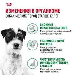 Royal Canin Mini Exigent Мини Экзиджент 12+ пауч для привередливых собак мелких пород 85 гр