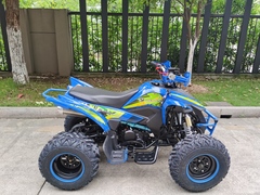 Квадроцикл YACOTA TYPHOON 250