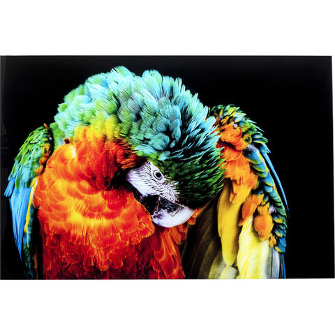 Картина Parrot, коллекция 
