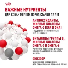 Royal Canin Mini Exigent Мини Экзиджент 12+ пауч для привередливых собак мелких пород 85 гр