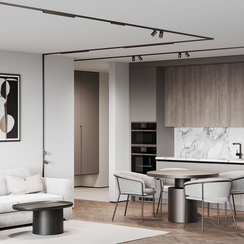 Магнитный трековый светильник Elektrostandard Line Magnetic 85529/01 титан