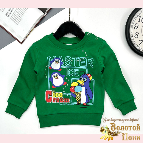 Джемпер хлопок м (1-4) 251106-GV224