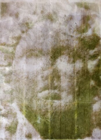 Memoria Fracta. Faciem