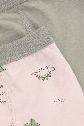 трусы/ уп  для мальчика  К 1980-2уп/оливковый хаки,бежевый,динозаврики