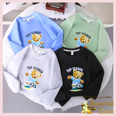 Лонгслив хлопок м (1-5) 260106-L1059