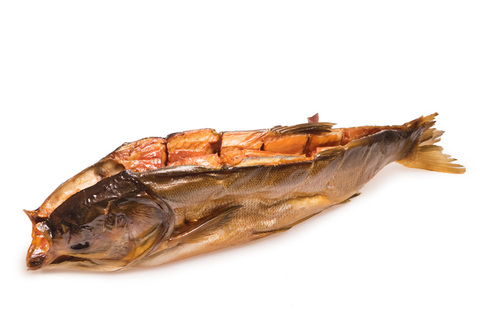 Толстолобик: питательная рыба или не слишком полезная для организма?