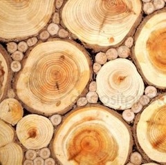 Все Древесные