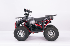 Квадроцикл YACOTA SIRIUS 125 LD