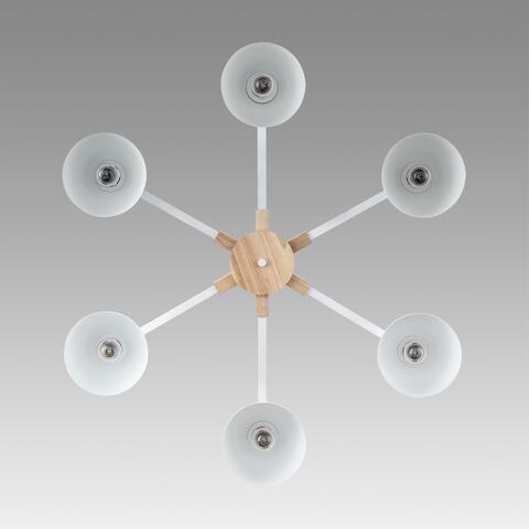 Потолочная люстра Lumion COLANGE 8095/6C