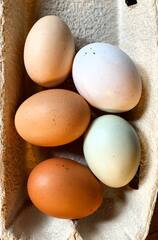 Яйцо куриное 10 шт