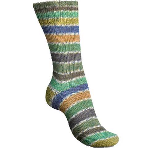 Regia Etude Color 4896 пряжа для носков купить