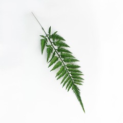 Папоротник зелёный, зелень искусственная, 60 см, набор 3 ветки.