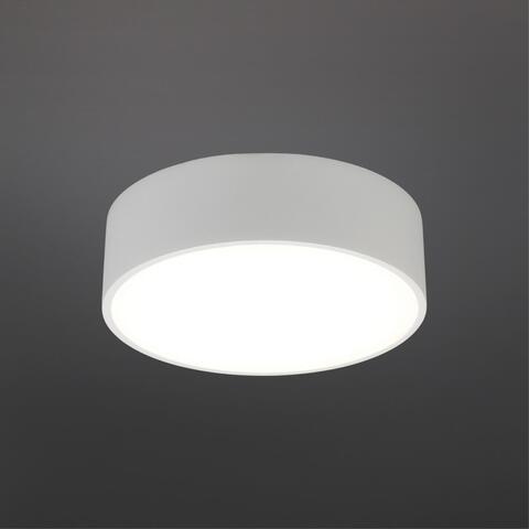 Потолочный светодиодный светильник Aployt Evon APL.0114.09.12