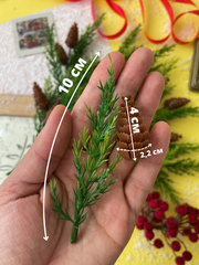 Туя с шишками, букет, искусственная зелень, цвет Зеленый, букет 32 см, 23-24 еловые лапки, набор 2 шт.