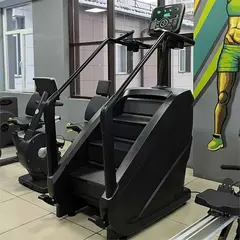 Тренажер-лестница TANGEN D8900