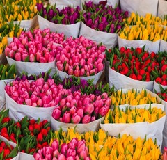 Банч тюльпанов 15 шт