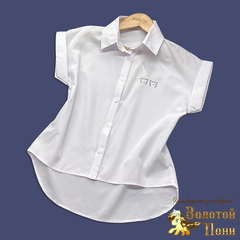 Блуза девочке (8-13) 260429-ZG1557