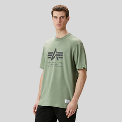 Футболка Alpha Industries Relaxed Coordinates Tee Moss (Зеленый)
