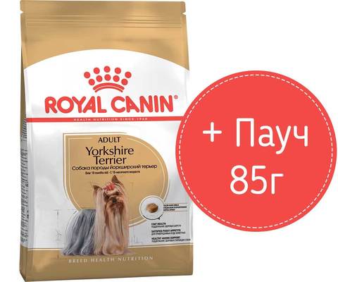 ПРОМО! Royal Сanin Yorkshire Terrier сухой корм для Йоркширских терьеров 1,5кг + пауч 85г